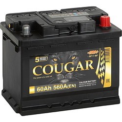 Автоаккумулятор Cougar Power (6CT-100R)