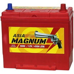 Автоаккумулятор Magnum Standard Asia (6CT-65R)