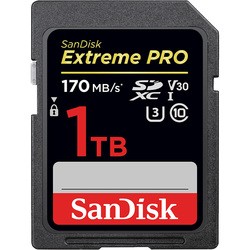 Карты памяти SanDisk Extreme Pro V30 SDXC UHS-I U3 1024Gb