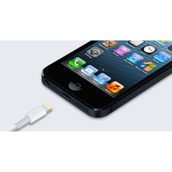 Мобильный телефон Apple iPhone 5 64GB (черный)