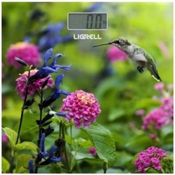 Весы Ligrell LBS-1821D