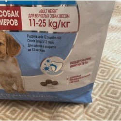 Корм для собак Royal Canin Medium Puppy 10 kg