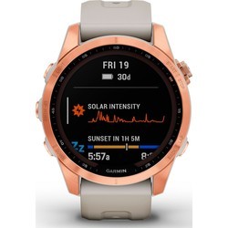 Смарт часы и фитнес браслеты Garmin Fenix 7S Solar (серый)