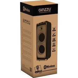 Аудиосистемы Ginzzu GM-205