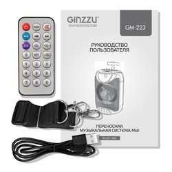 Аудиосистемы Ginzzu GM-223