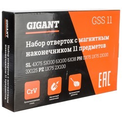 Наборы инструментов Gigant GSS 11