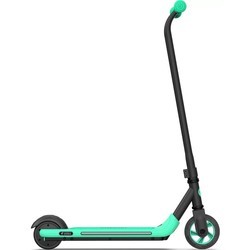 Самокат Ninebot KickScooter Zing A6