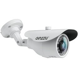 Камера видеонаблюдения Ginzzu HAB-2031P