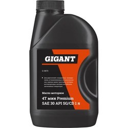 Моторное масло Gigant 4T Premium SAE 30 1L