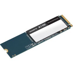 SSD Gigabyte GM21TB