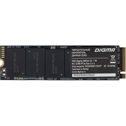 SSD Digma DGSM3001TS33T