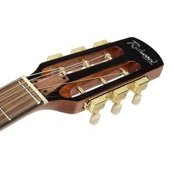Акустические гитары Richwood RM-150
