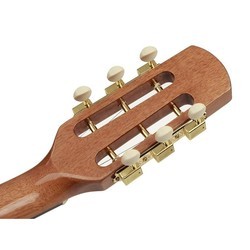 Акустические гитары Richwood RM-150
