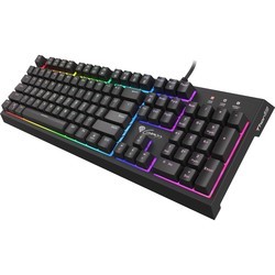 Клавиатуры Genesis Thor 210 RGB