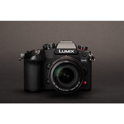 Фотоаппараты Panasonic DC-GH6 body