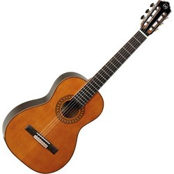 Акустические гитары Tanglewood EM D4