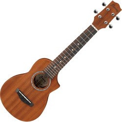 Акустические гитары Ibanez UEWS5
