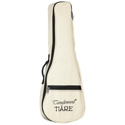 Акустические гитары Tanglewood TWT9