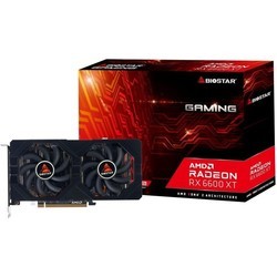 Видеокарты Biostar Radeon RX 6600 XT VA66T6TM81 EVO