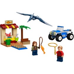 Конструкторы Lego Pteranodon Chase 76943