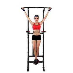 Турники и брусья BodyTrain Power Tower and Weight Bench