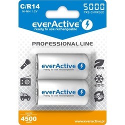Аккумуляторы и батарейки everActive Professional Line 2xC 5000 mAh