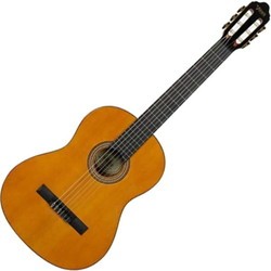Акустические гитары Valencia 3927C