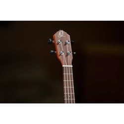 Акустические гитары Ortega RU5CE-TE