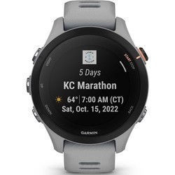 Смарт часы и фитнес браслеты Garmin Forerunner 255S