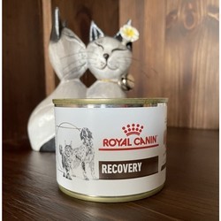 Корм для собак Royal Canin Recovery 2.34 kg