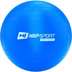 Мячи для фитнеса и фитболы Hop-Sport HS-R055YB