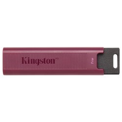 USB-флешки Kingston DataTraveler Max USB-A 256Gb