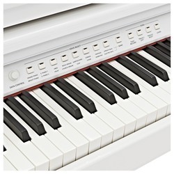 Цифровые пианино Gear4music GDP-100