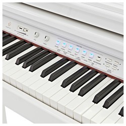 Цифровые пианино Gear4music GDP-100