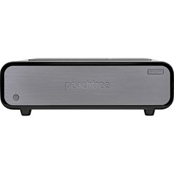 Усилители Peachtree Audio amp500