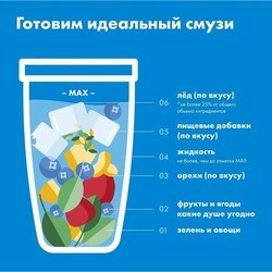 Миксеры и блендеры NutriBullet Full Size NBF400DG