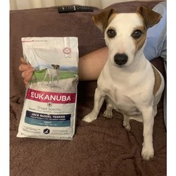 Корм для собак Eukanuba Dog Adult Jack Russell Terrier 2 kg