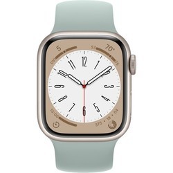 Смарт часы и фитнес браслеты Apple Watch 8 Aluminum 41 mm Cellular (графит)