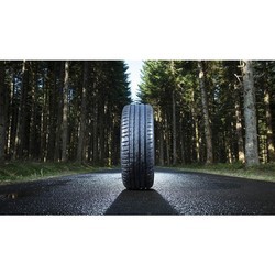 Шины Michelin Pilot Sport 4 285/50 R20 116W