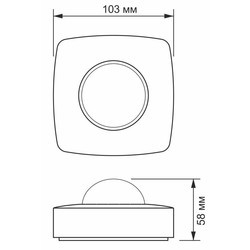 Охранные датчики Videx VL-SPC24W