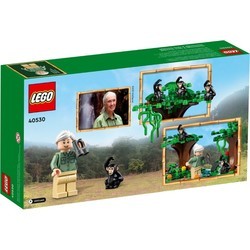 Конструкторы Lego Jane Goodall Tribute 40530