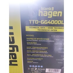 Генераторы HAGEN TTD-GG4000LV