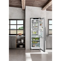 Холодильники Liebherr Prime RBsdd 5250