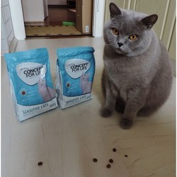 Корм для кошек Concept for Life Sensitive Cats 0.4 kg