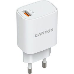 Зарядки для гаджетов Canyon CNE-CHA18W