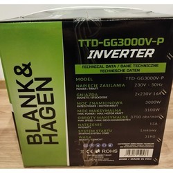 Генераторы HAGEN TTD-GG3000V-P