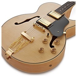 Электро и бас гитары Gear4music San Diego Semi Acoustic Guitar SubZero V35RG Amp Pack