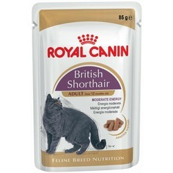 Корм для кошек Royal Canin British Shorthair Gravy Pouch 48 pcs