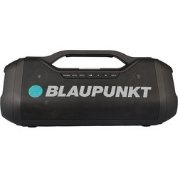 Аудиосистемы Blaupunkt BT1000