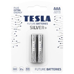 Аккумуляторы и батарейки Tesla Silver+ 2xAAA